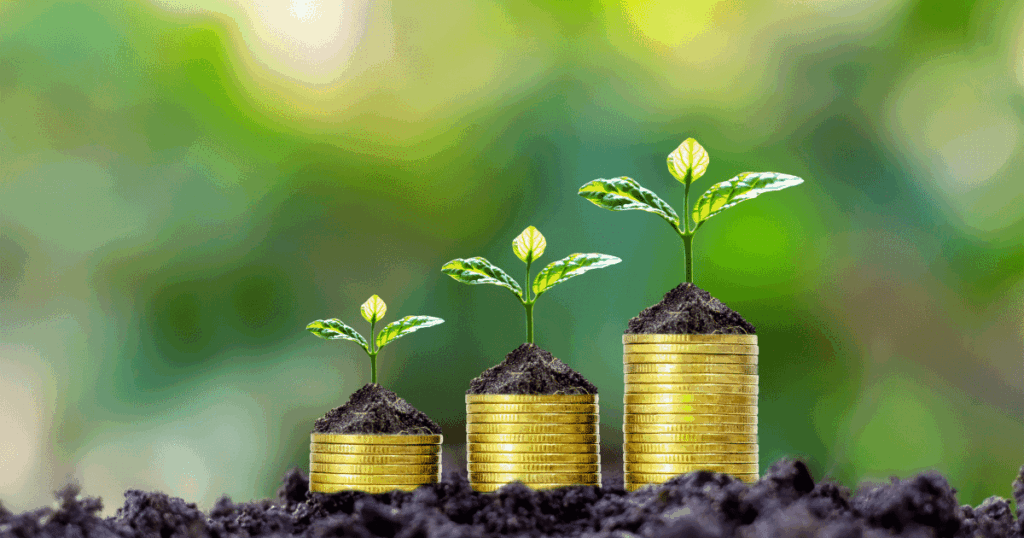 FIRE Financial Independence, Retire Early Movement Norge